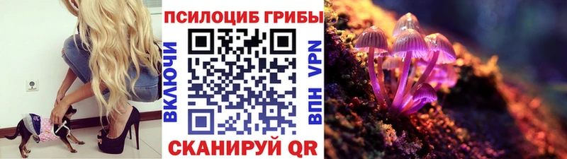 blacksprut ТОР  Сычёвка  Псилоцибиновые грибы MAGIC MUSHROOMS 